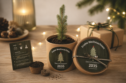 Anzuchtpott dein Christbaum 2035