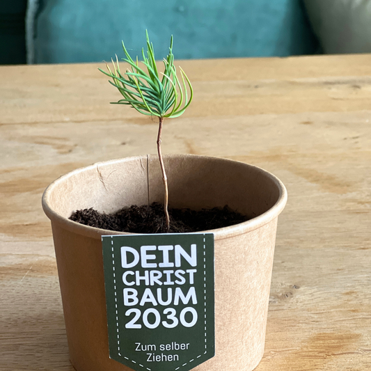 Weihnachtsgeschenke aus inklusiver Produktion