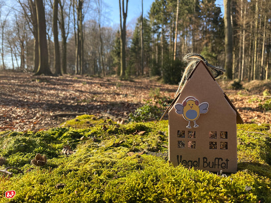 Geschenkhäuser, Nachhaltige Geschenke, die es zu Hause noch lebendiger und schöner machen