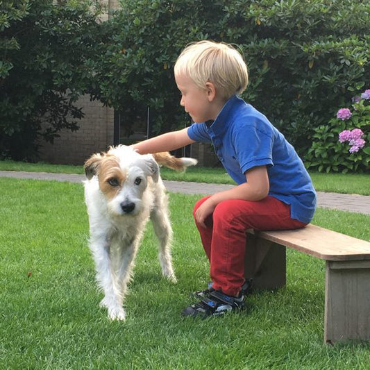 „Ziemlich beste Freunde“ – Unser Wunderle der Woche!