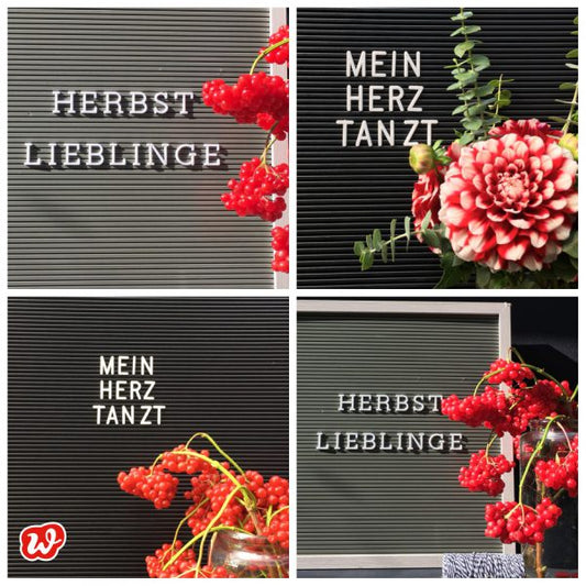 Herbstlieblinge – DIY Bunte Blätter