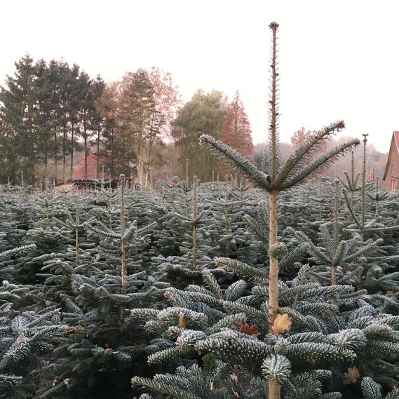 Die fehlenden Kleinigkeiten…