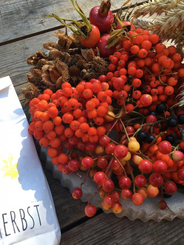 Willkommen Herbst