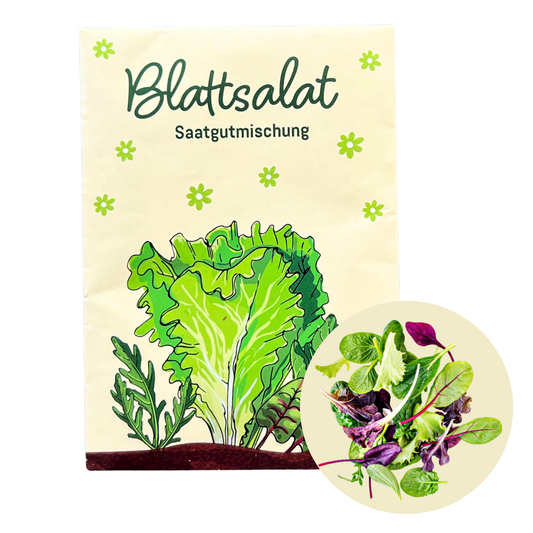 Salatsamen für knackigen Pflücksalat