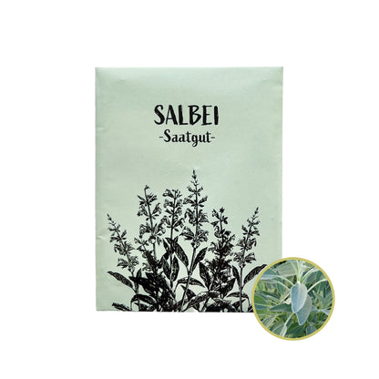 Salbei Samen: Aromatischer Salbei für deinen Garten