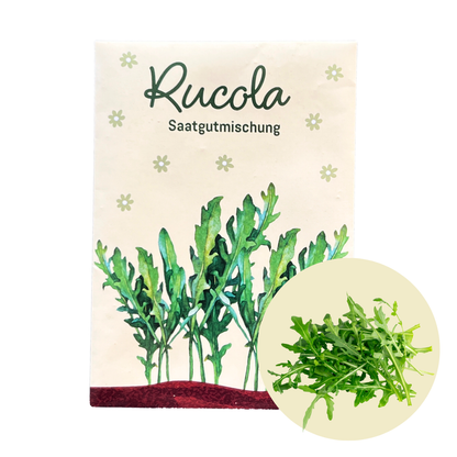 Rucola Saatgut