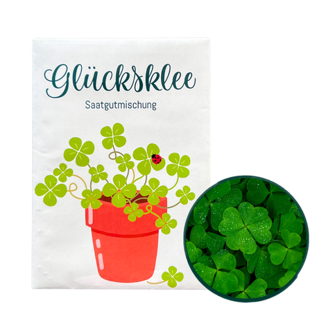 Glücksklee Samen