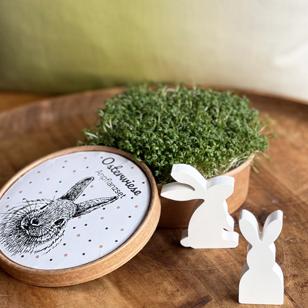 Ostergeschenke zum selber ziehen
