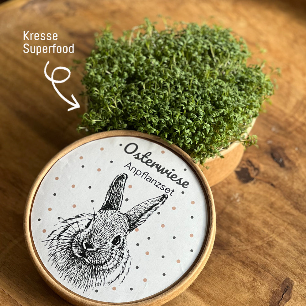 Kresse das Superfood in dem Osterwiese Anpflanzset