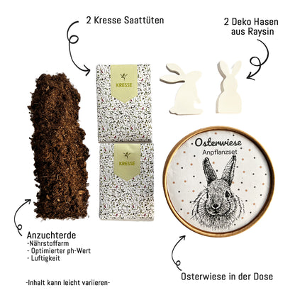 Osterwiese in der Dose