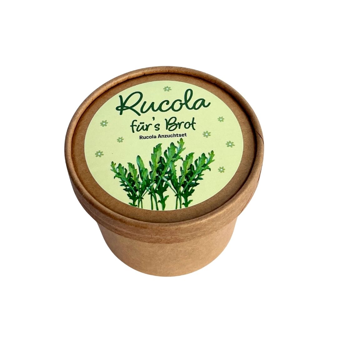 Rucola Samen, frische Würze direkt von deiner Fensterbank