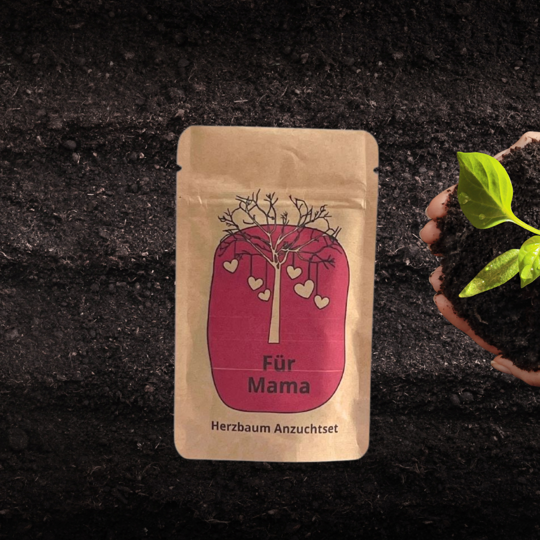 Für Mama Anzuchtset für einen Herzbaum