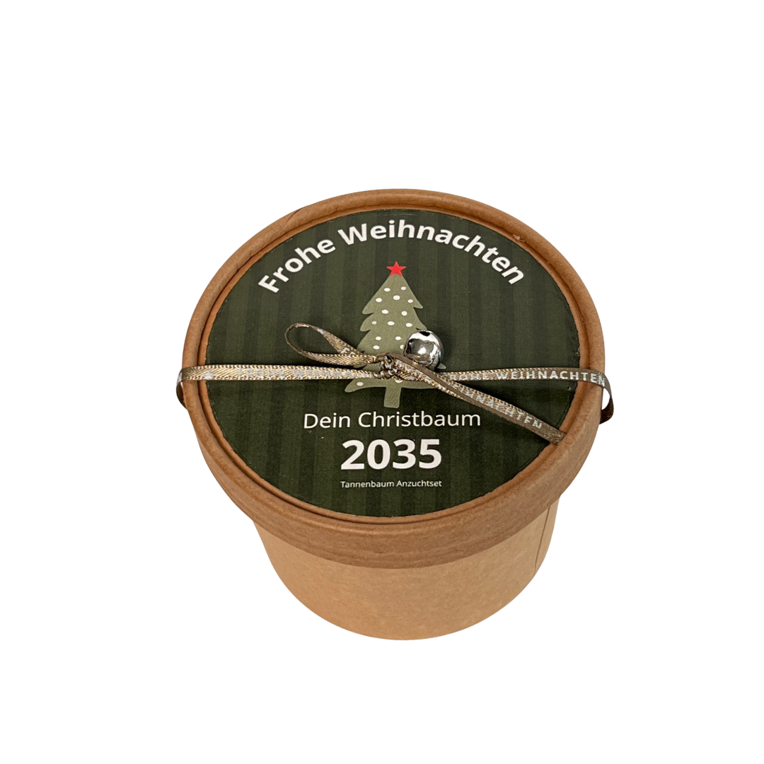 Dein Christbaum Pott 2035 Anzuchtset
