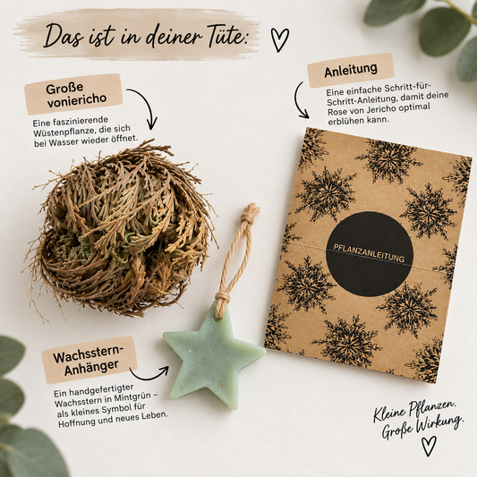 Inhalt der Rose von Jericho Wundertüte