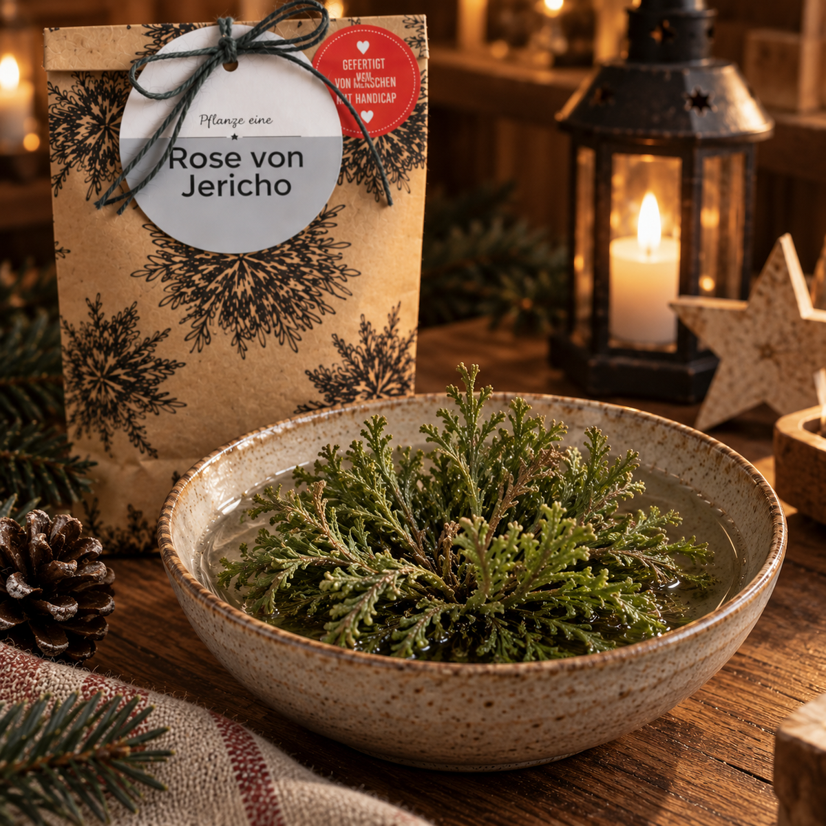 Rose von Jericho Geschenk