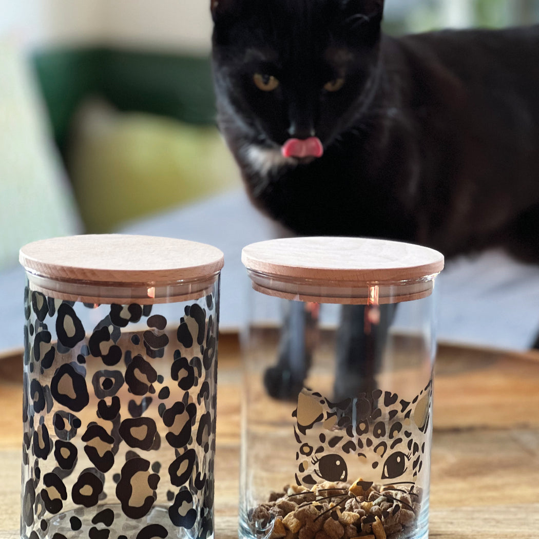 Glasdosen mit Deckel und Katzenleckerli und Katze