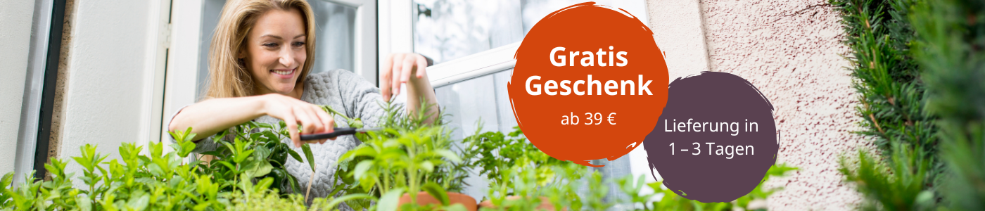 Gärtnern auf dem Fensterbrett