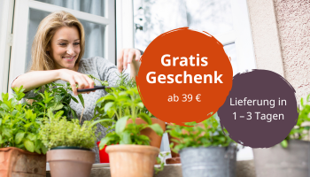 Gratis Geschenk ab 39 €