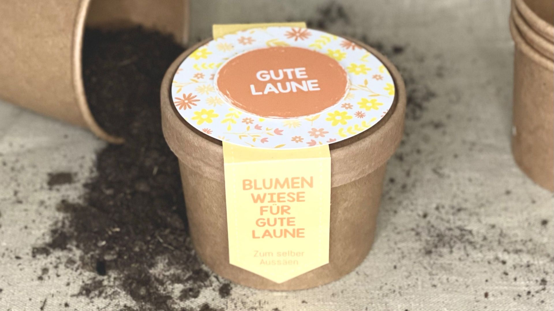 Video laden: Pflanzanleitung Blumenwiese für gute Laune