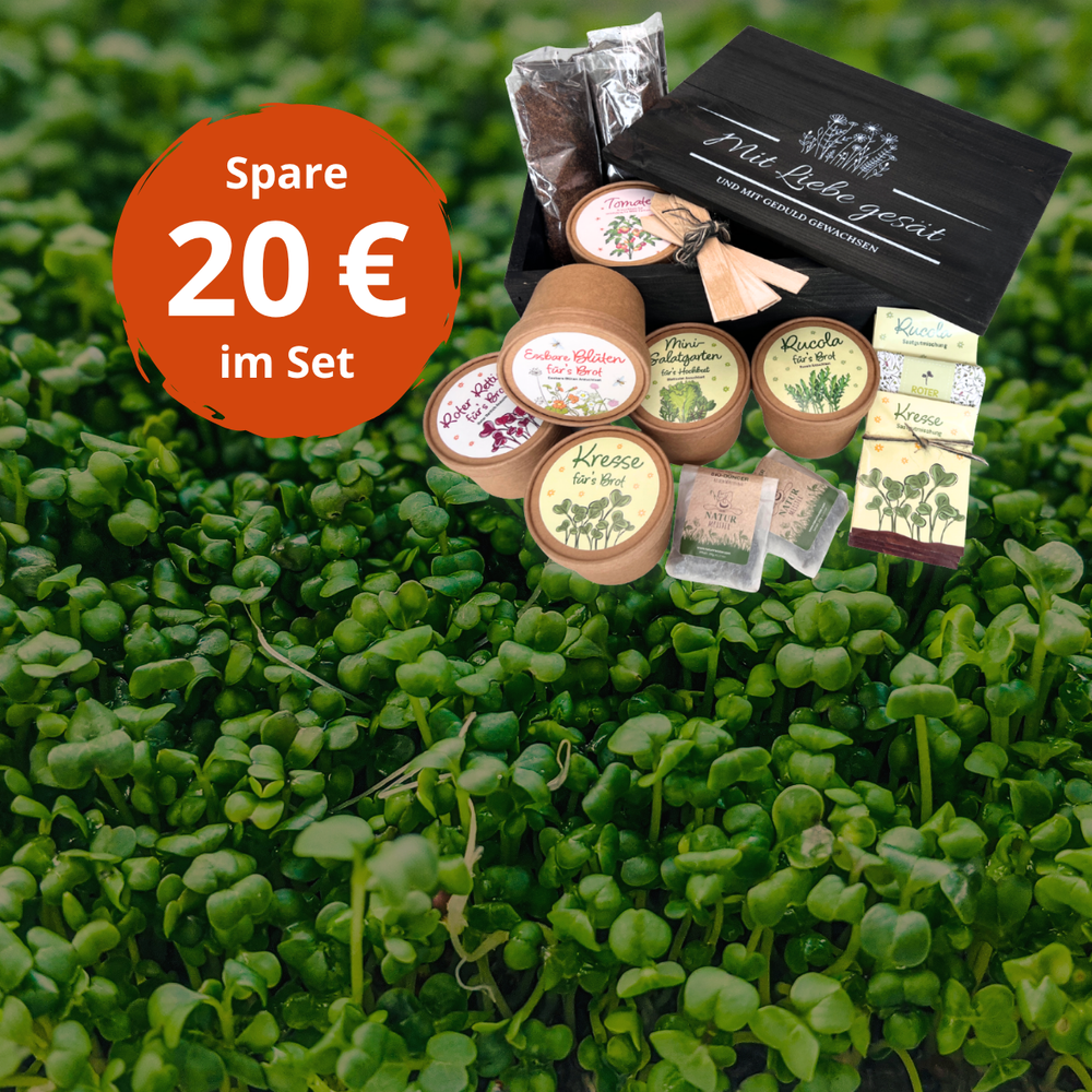Microgreen Anzuchtset